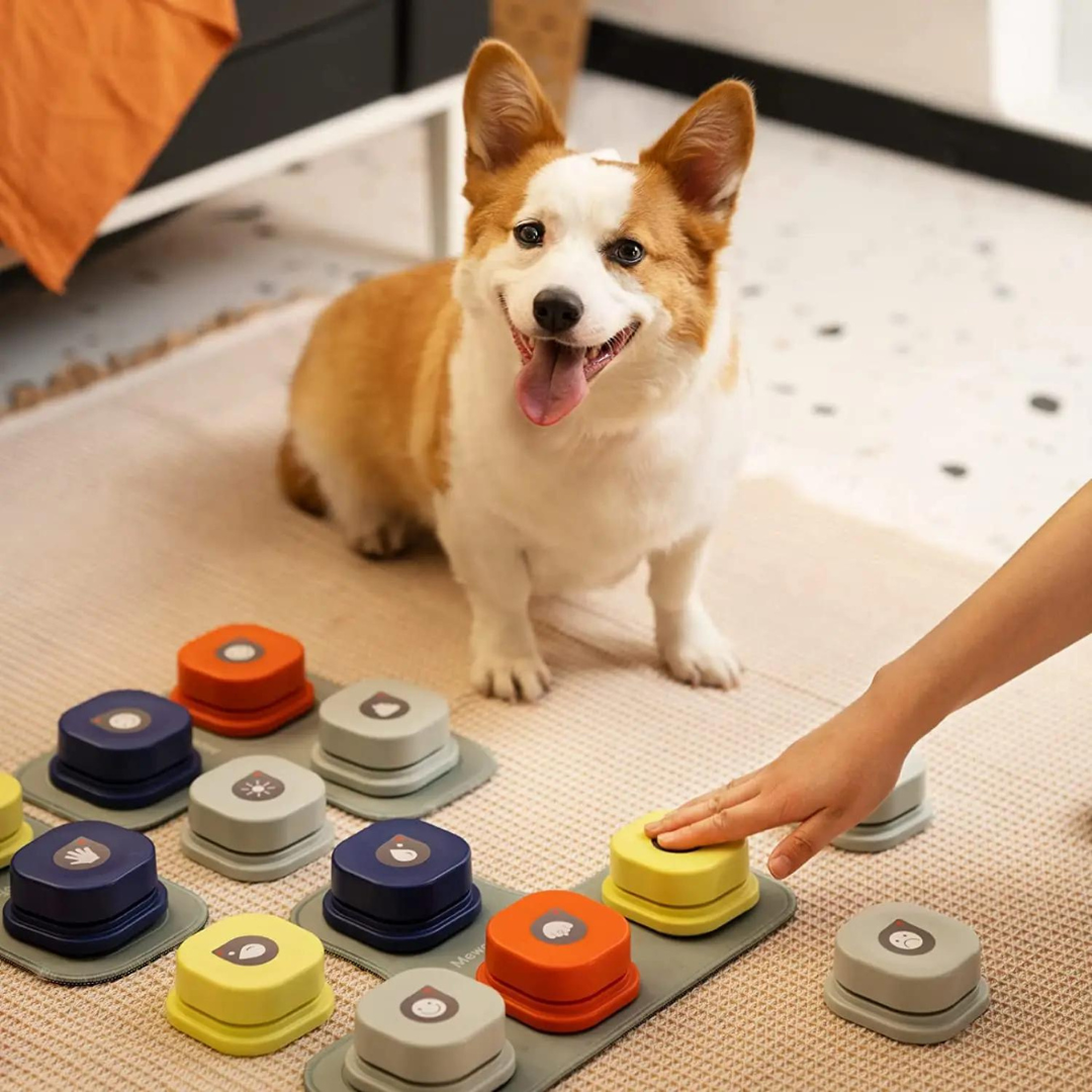 Dog Communication Recording Button