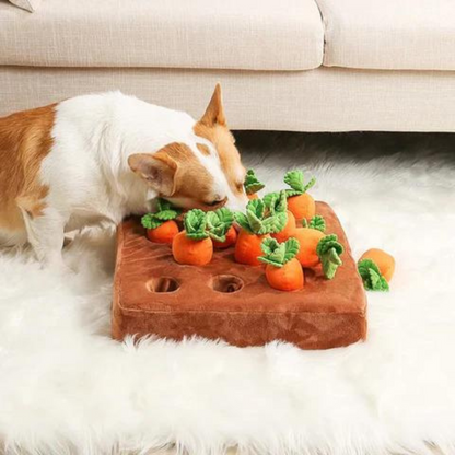 Snuffle Toy - Carrot