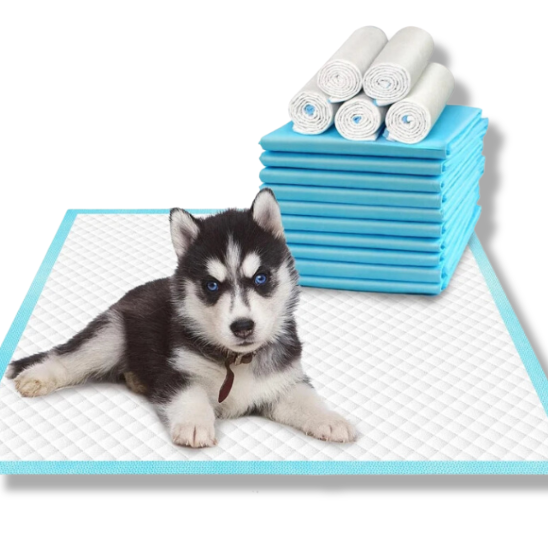 Super Absorbent Puppy Training Pads