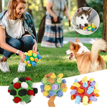 Snuffle Ball - Interactive Treat Game