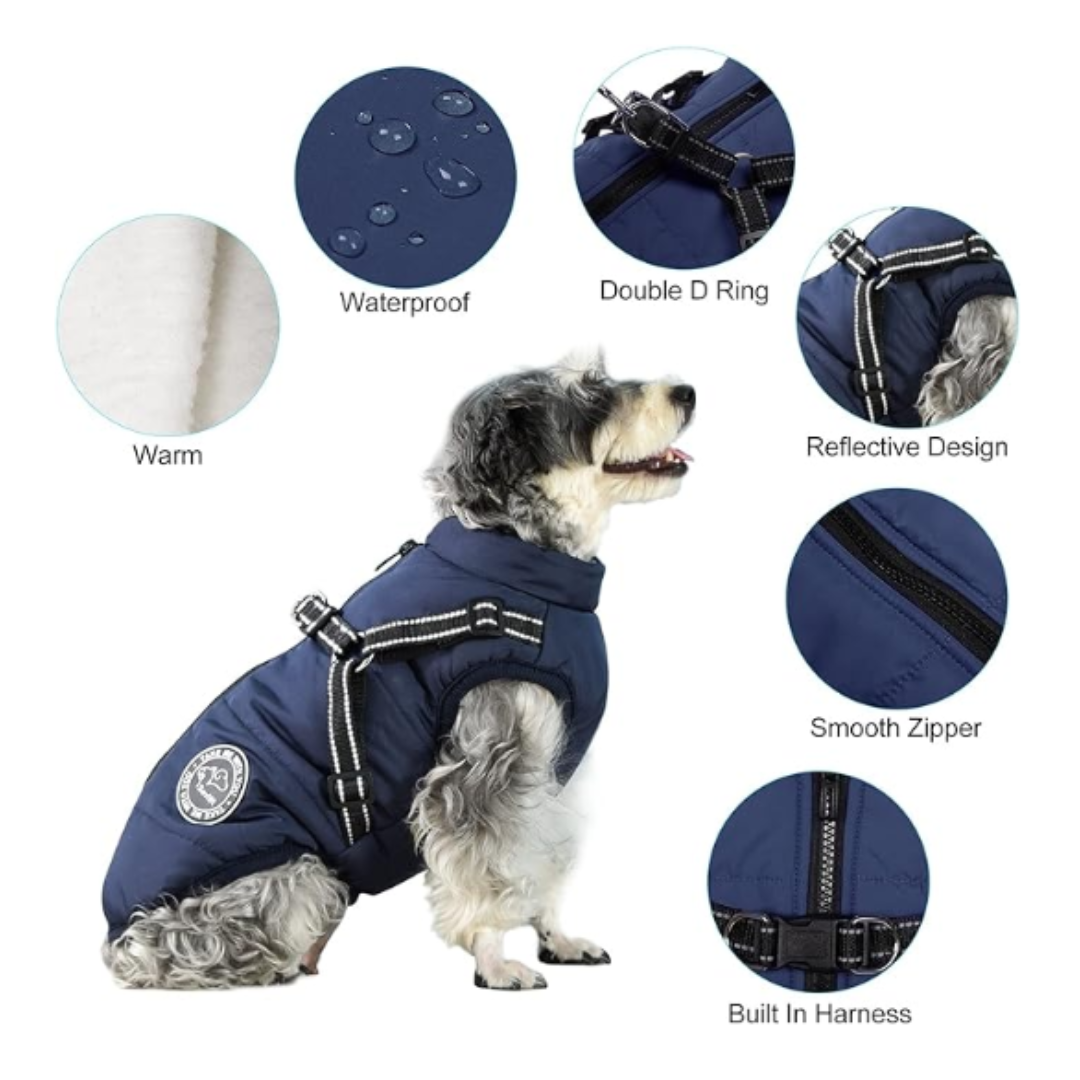 Dog Jacket With Harness