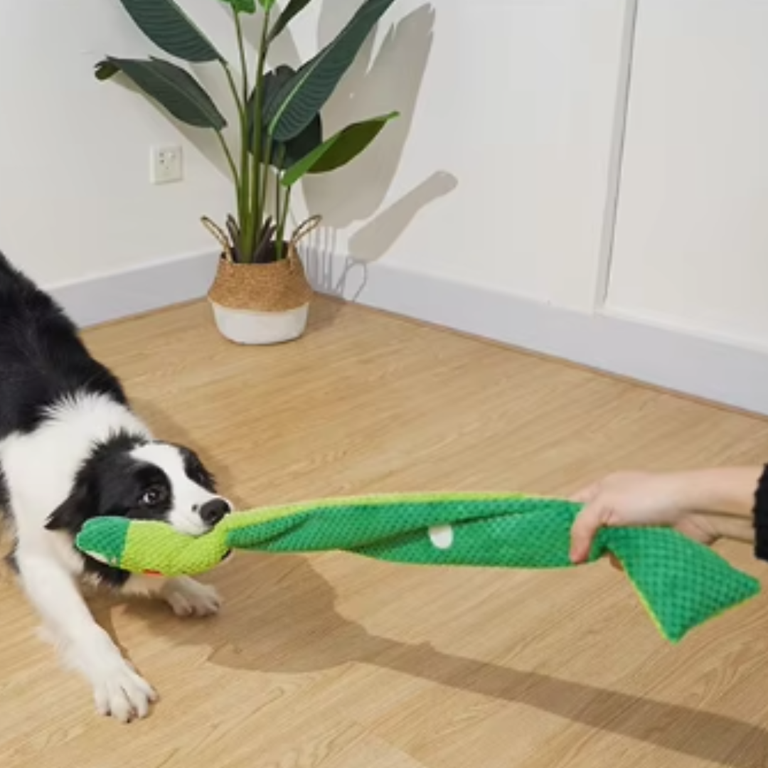 Snail Squeak & Snack Interactive Dog Toy