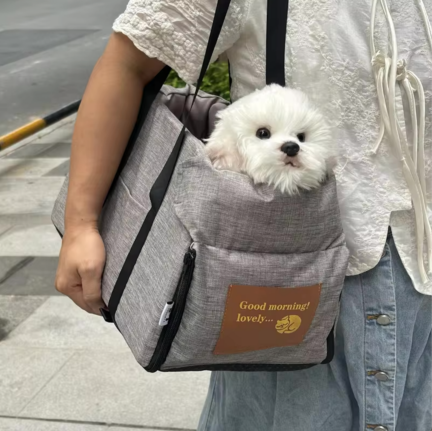 Dog Travel Carrier