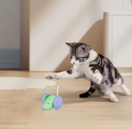 Interactive Electric Mouse Toy