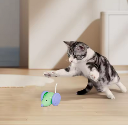 Interactive Electric Mouse Toy