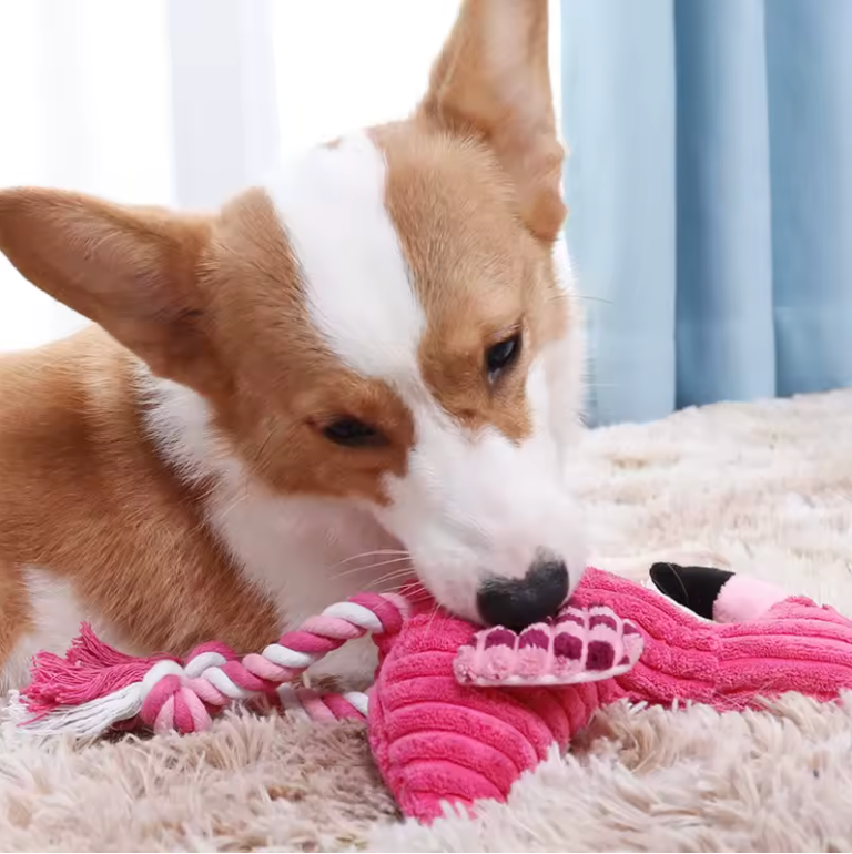 Indestructible Flamingo Toy