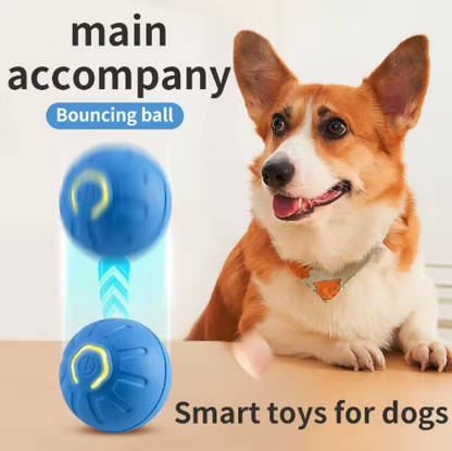 BouncySmart Dog Ball