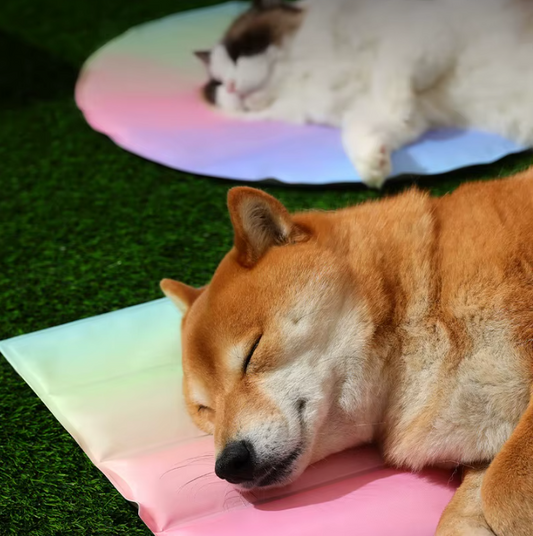 Summer Ice Pad – Cooling Mat for Dogs & Cats