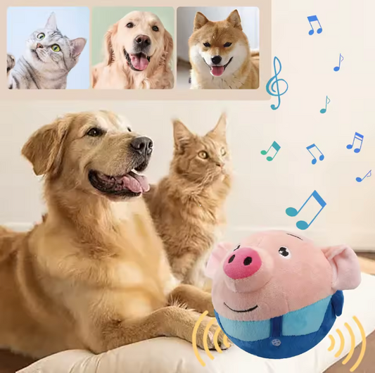 Interactive Bouncing Piggy Dog Toy