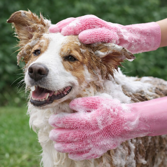 PawCare Silicone Pet Bath & Grooming Gloves
