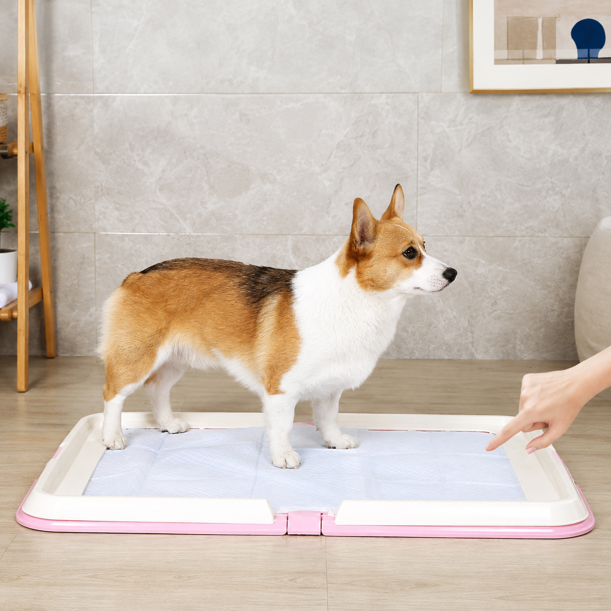 PawPotty - Foldable Puppy Toilet Training Tray