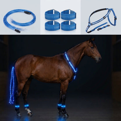 NightRider LED Horse Light Set