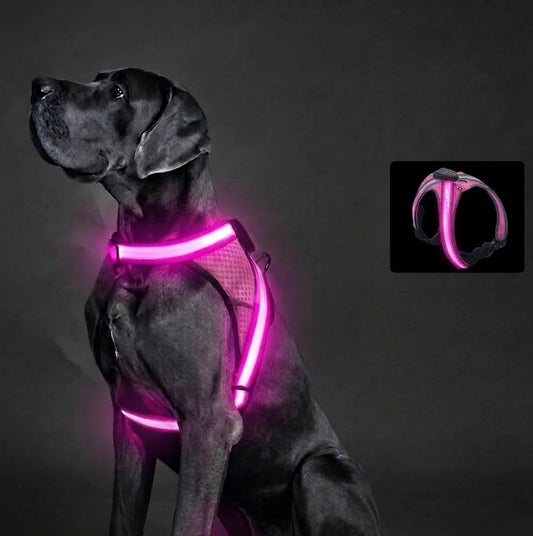 GlowTrail LED Dog Harness