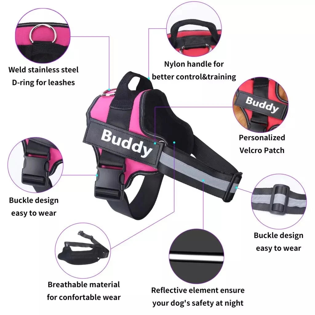 Personalized No-Pull Dog Harness