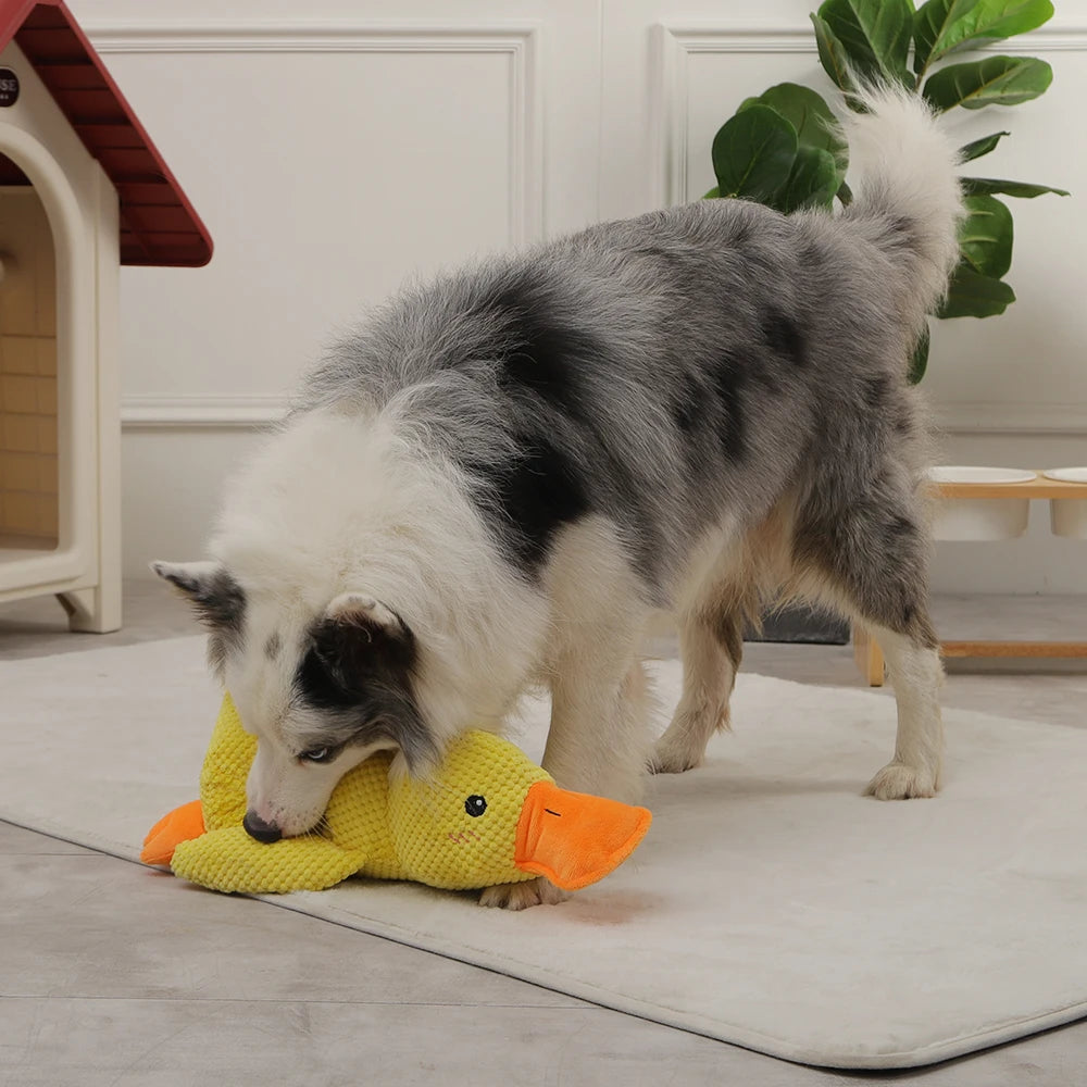 Calming Duck Toy for Dogs