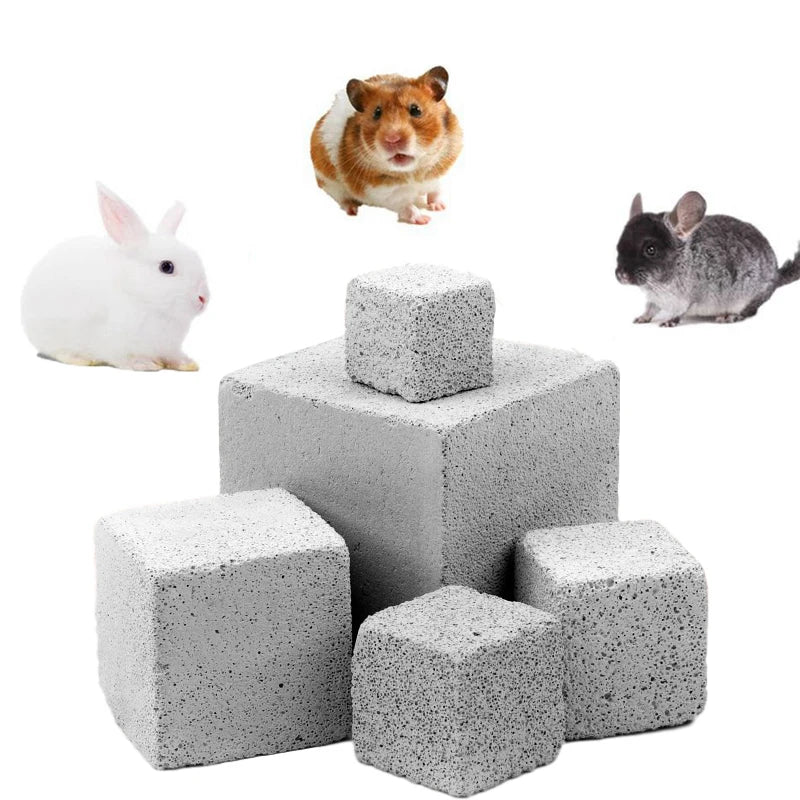 Natural Mineral Molar Stone – Teeth Grinding Chew Toy for Small Pets