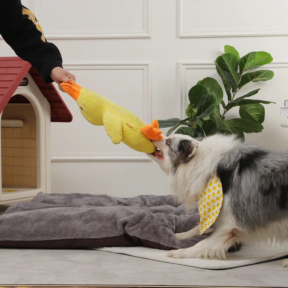 Calming Duck Toy for Dogs