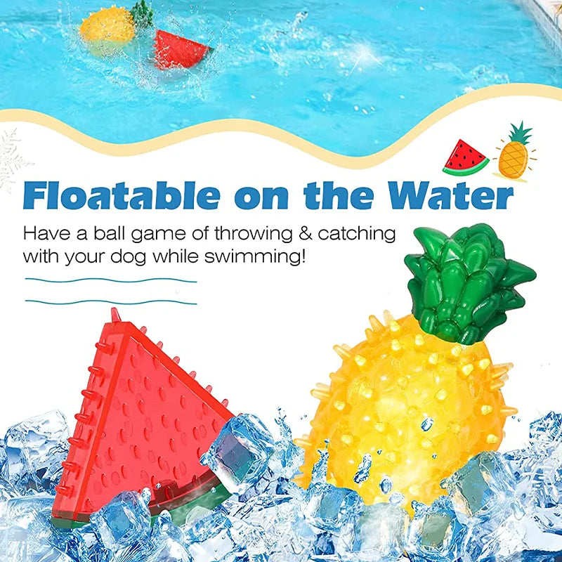 Fruit Freeze Chew Toy