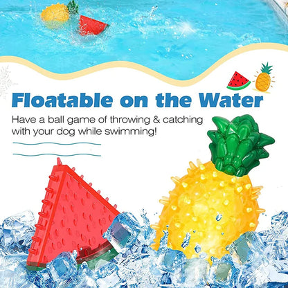Fruit Freeze Chew Toy