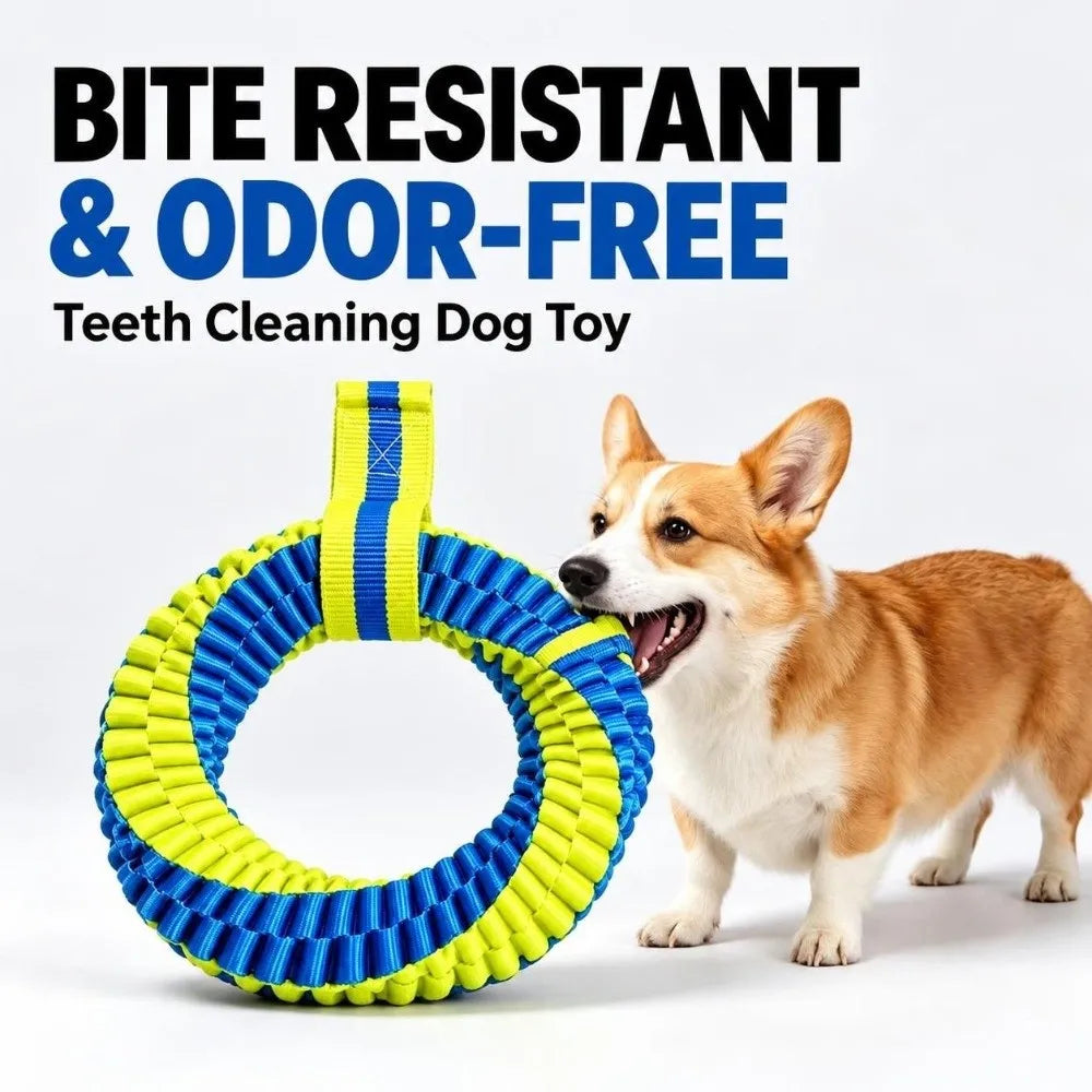 Interactive Nylon Rope Dog Toy 🐶🪢