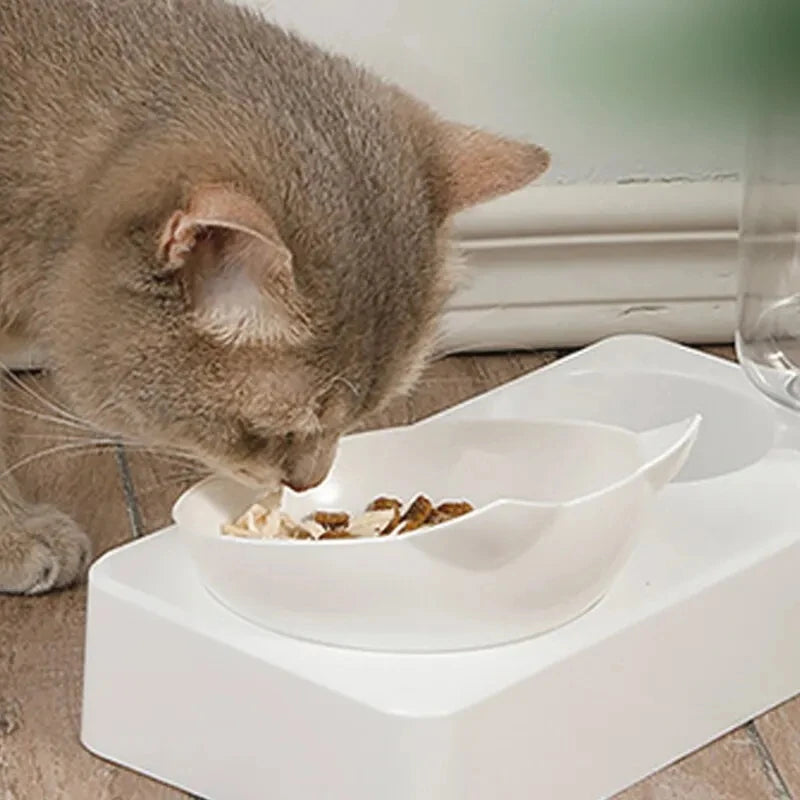 Wihte Dual-Purpose Pet Bowl – Tilted Dog Food & Water Feeder for Cervical Spine Protection