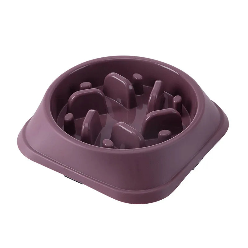 Pet Slow Feeding Bowl - Anti-Choking, Non-Slip Bowl for Cats & Dogs