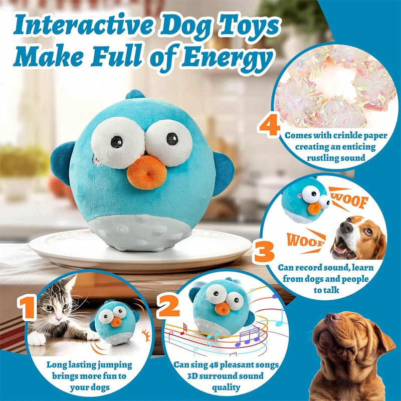 Rechargeable Interactive Bouncing Pet Toy 🐾🎵