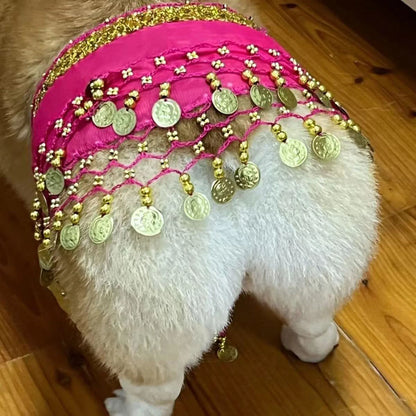 DanceTail – Sequin Pet Belly Dance Skirt 💃🐶