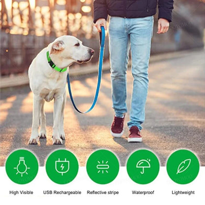 LED Luminous Dog Collar – USB Rechargeable & Detachable Night Safety Collar for Pets