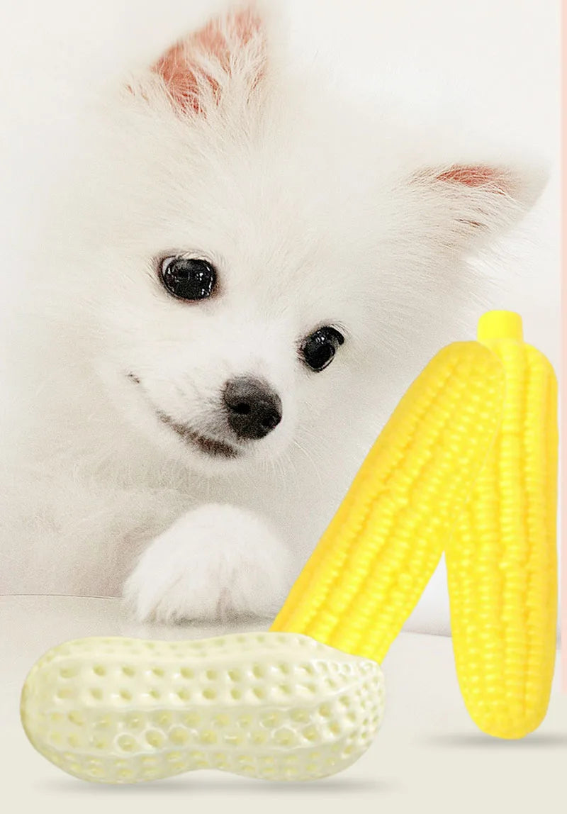 Peanut & Corn Squeaky Dog Chew Toy