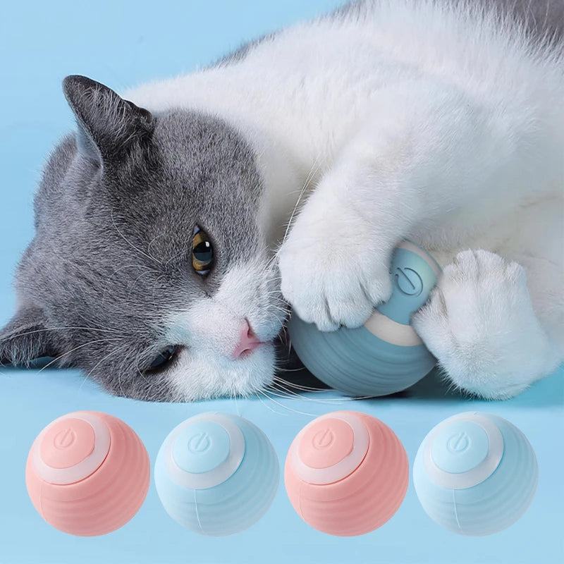 Automatic Moving Ball for Cats