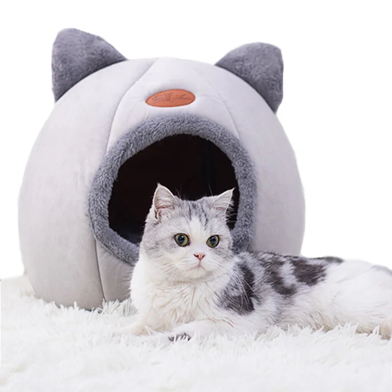 Deep Sleep Comfort Cat Bed