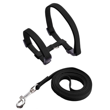 Rabbit & Cat Harness and Leash Set