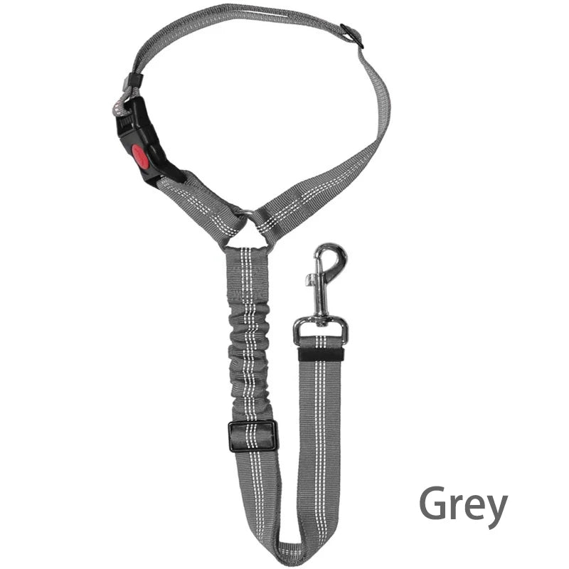 SafeRide 2-in-1 Pet Seat Belt Leash