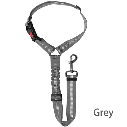 SafeRide 2-in-1 Pet Seat Belt Leash