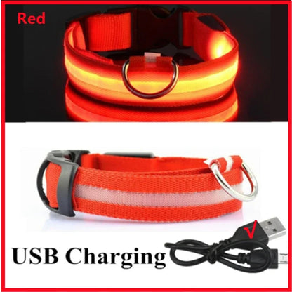LED Luminous Dog Collar – USB Rechargeable & Detachable Night Safety Collar for Pets