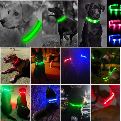 LED Luminous Dog Collar – USB Rechargeable & Detachable Night Safety Collar for Pets