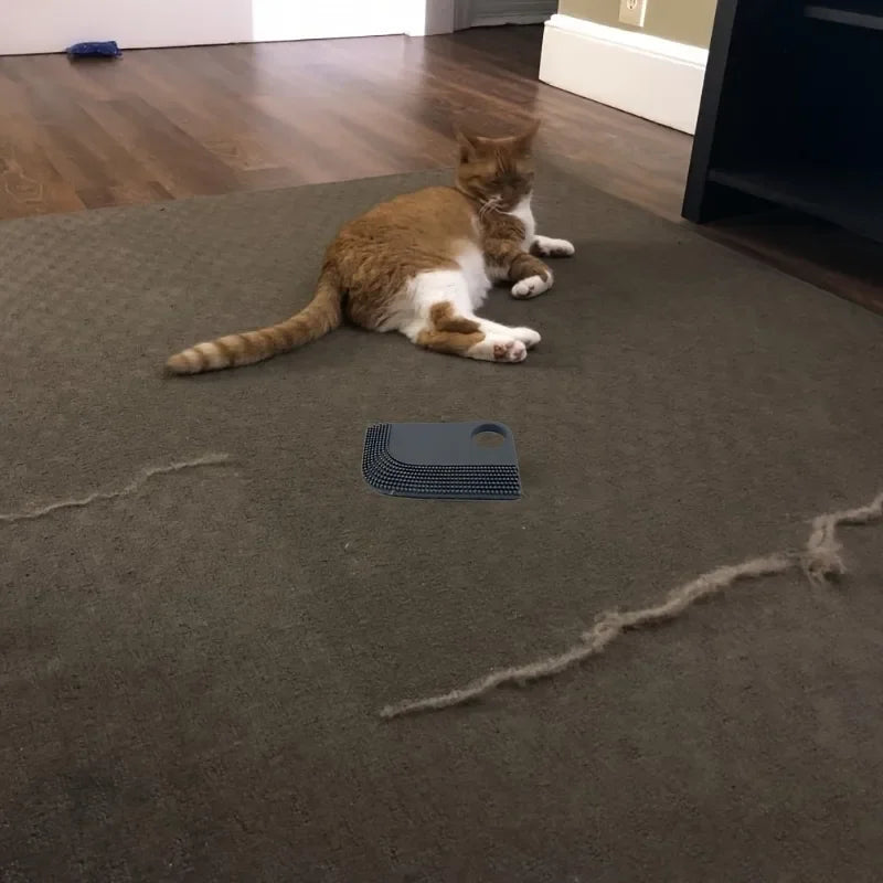 Pet Hair Removal Scraper