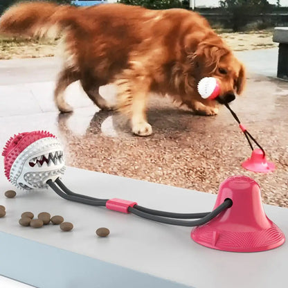 PawGrip - Interactive Dog Chew & Treat Toy