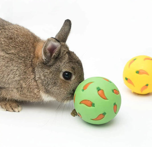 Rabbit Treat Ball – Interactive Snack Dispensing Toy