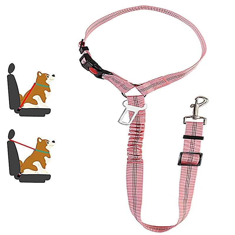 SafeRide 2-in-1 Pet Seat Belt Leash