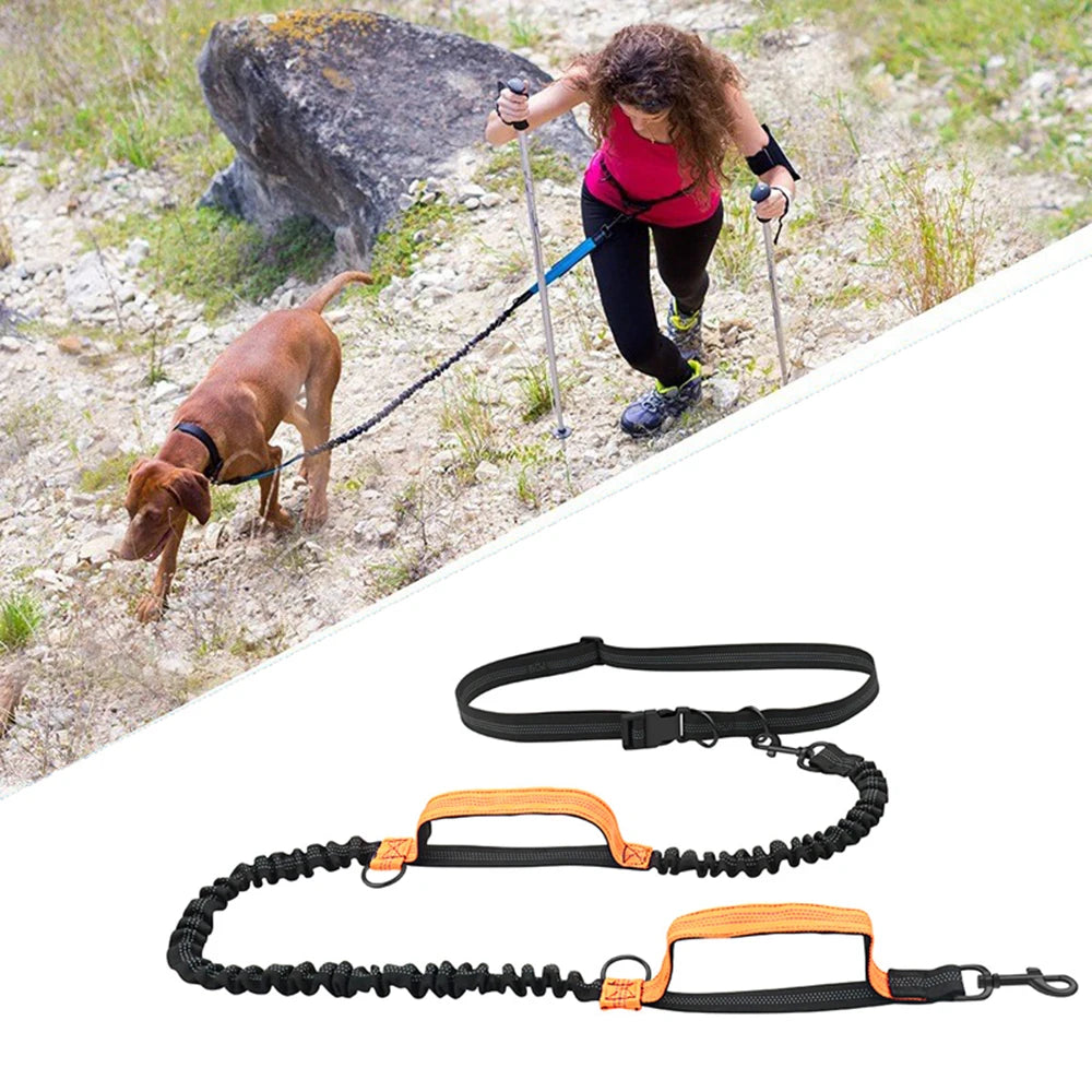 Reflective Dual-Elastic Hands-Free Dog Leash