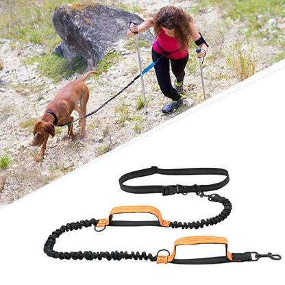Reflective Dual-Elastic Hands-Free Dog Leash