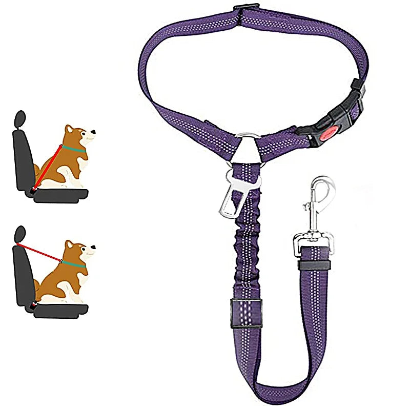 SafeRide 2-in-1 Pet Seat Belt Leash