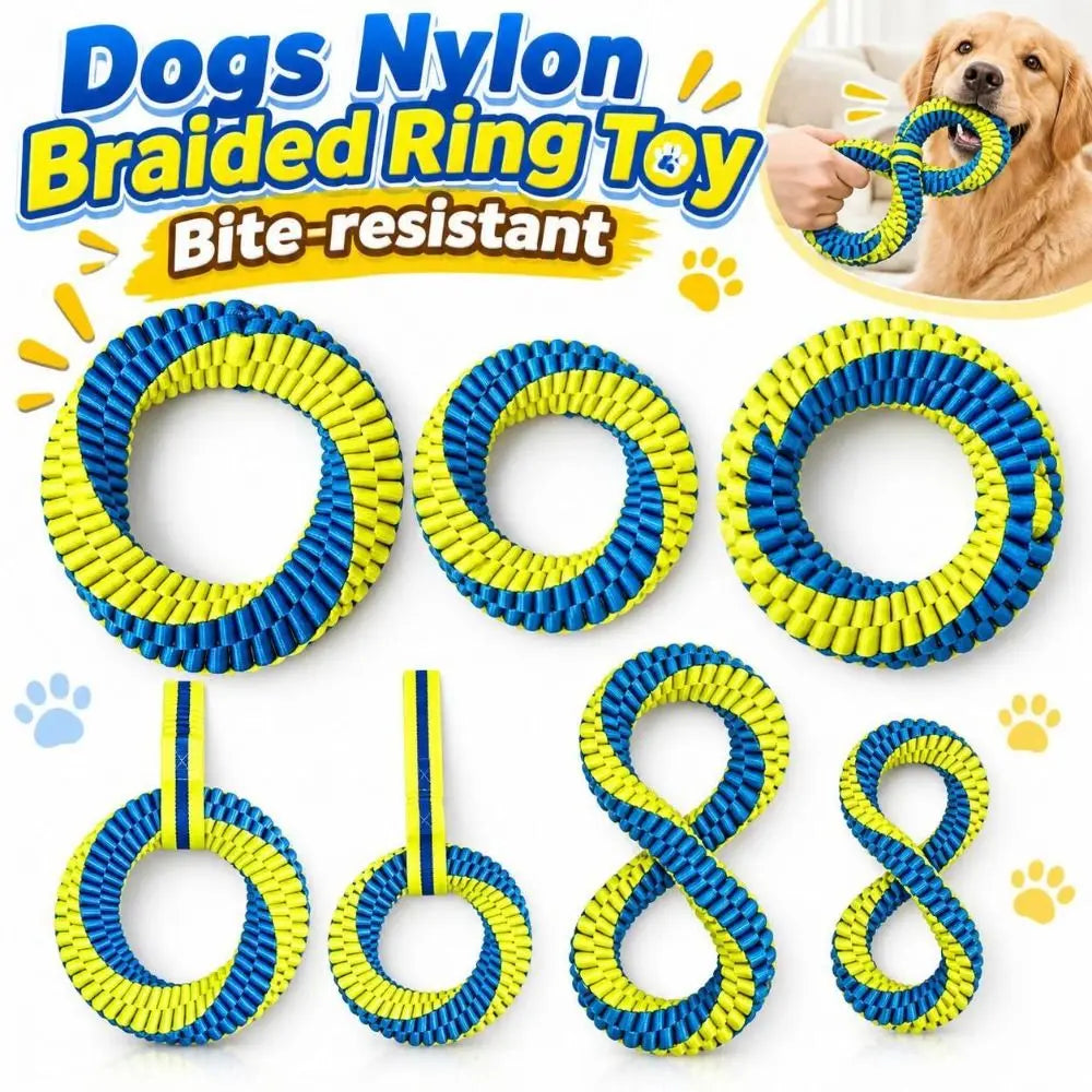 Interactive Nylon Rope Dog Toy 🐶🪢