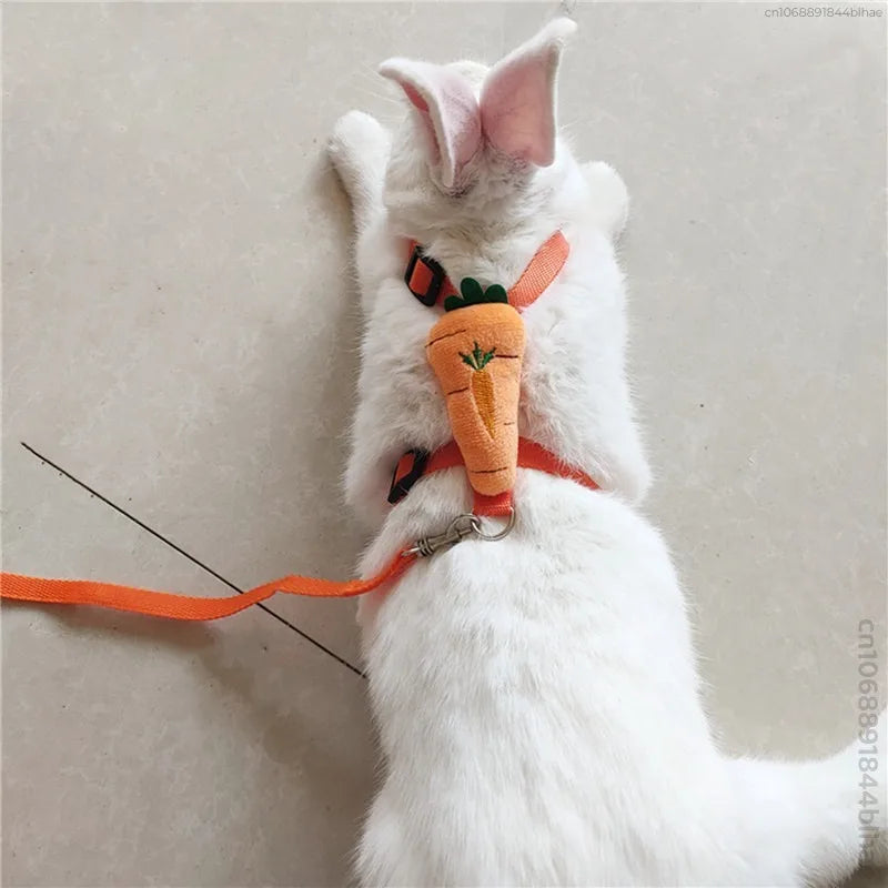 Rabbit Harness and Leash Set – Adjustable for Small Animals