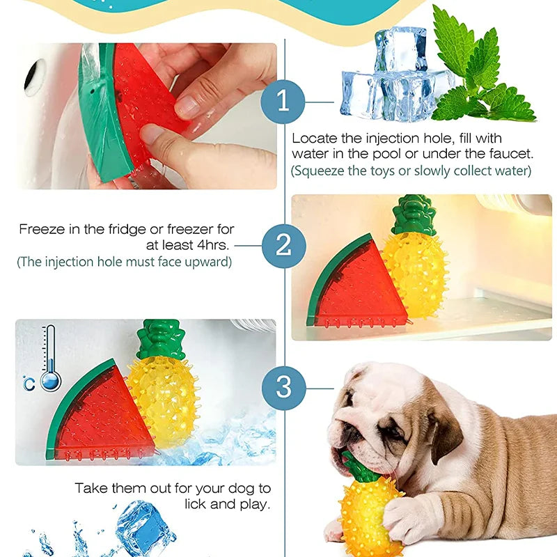 Fruit Freeze Chew Toy