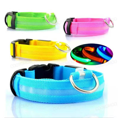 LED Luminous Dog Collar – USB Rechargeable & Detachable Night Safety Collar for Pets