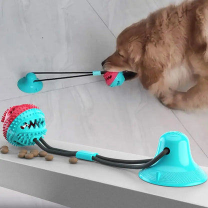 PawGrip - Interactive Dog Chew & Treat Toy