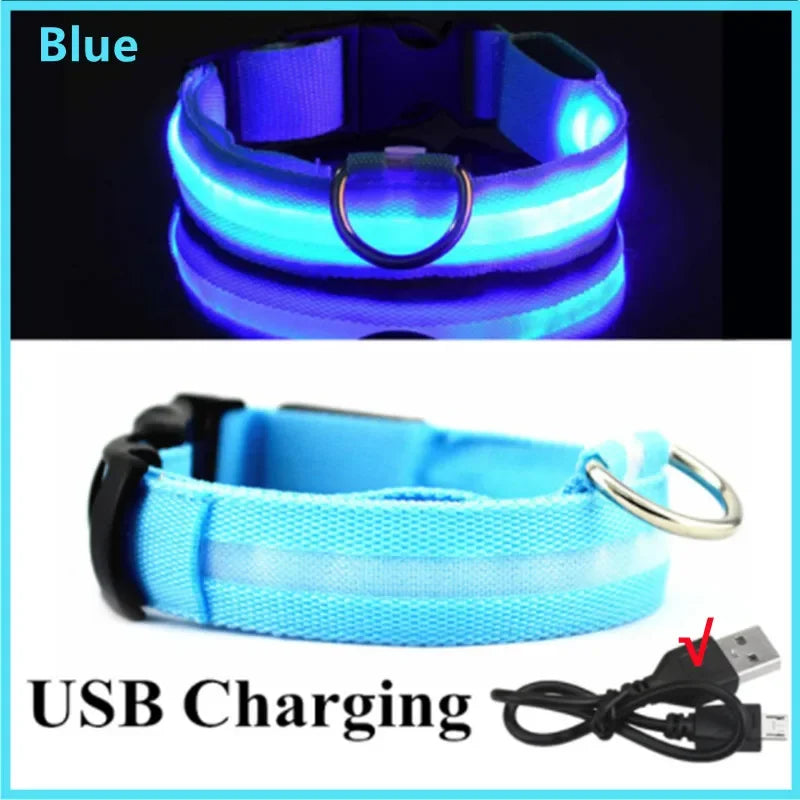 LED Luminous Dog Collar – USB Rechargeable & Detachable Night Safety Collar for Pets
